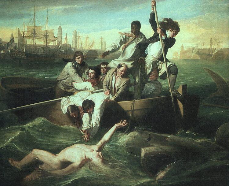 John Singleton Copley Watson and the Shark France oil painting art